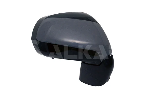 Exterior Mirror (6154864)