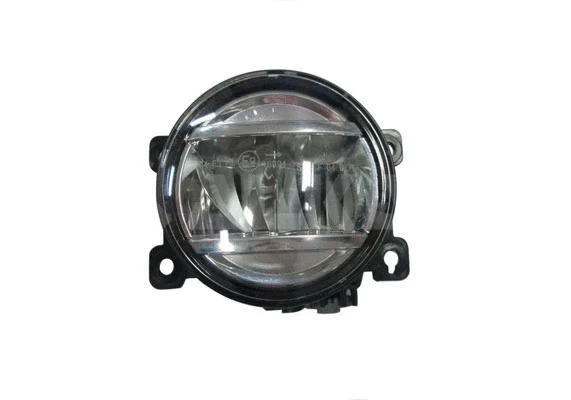 Front Fog Light (2921945)