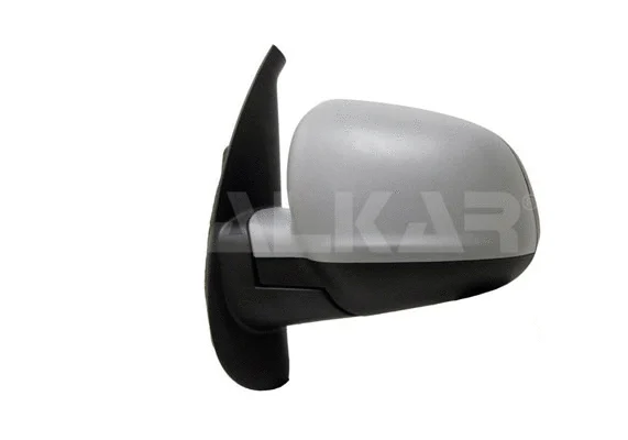 Exterior Mirror (9243698)
