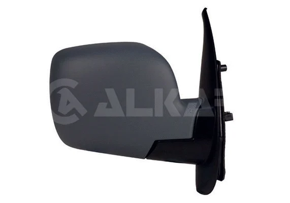 Exterior Mirror (9240160)