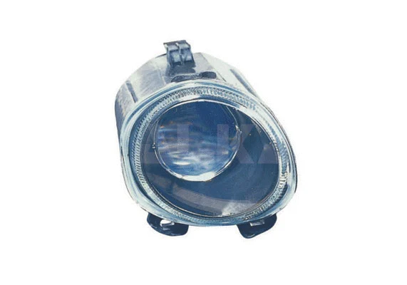 Front Fog Light (2902888)