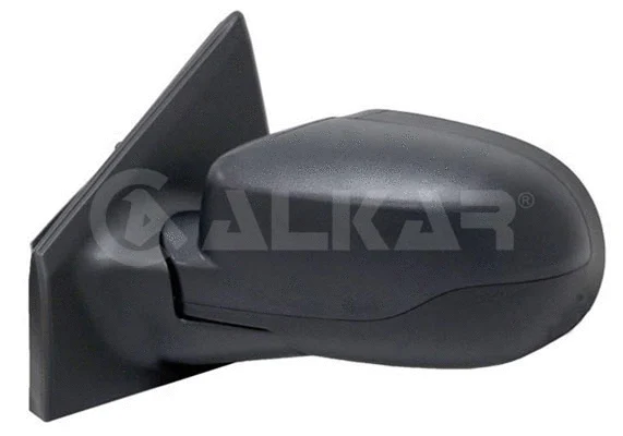Exterior Mirror (6125176)