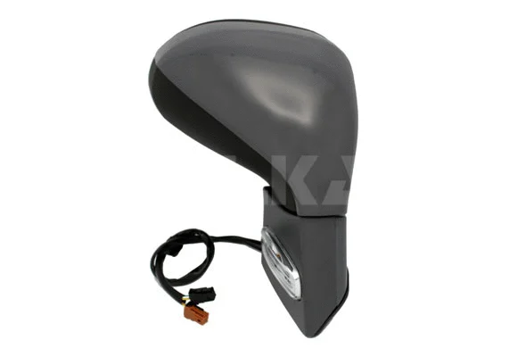 Exterior Mirror (6140308)