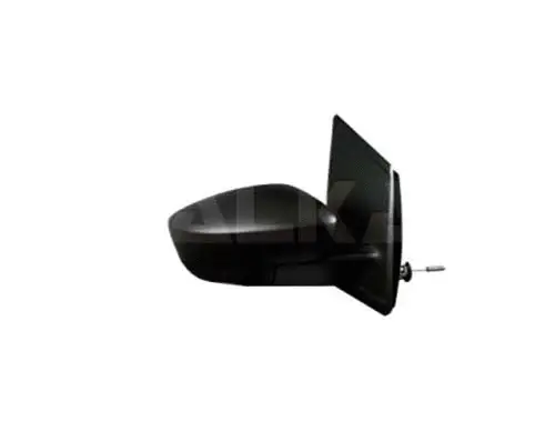 Exterior Mirror (6137140)