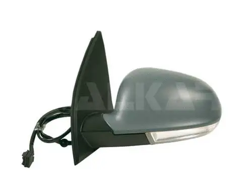 Exterior Mirror (6127128)