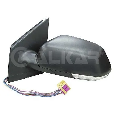 Exterior Mirror (6149111)