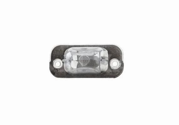 Licence Plate Light (2403125)