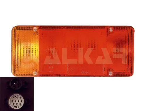 Tail Light Assembly (9711008)