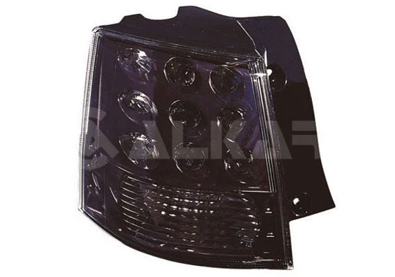 Tail Light Assembly (2001025)