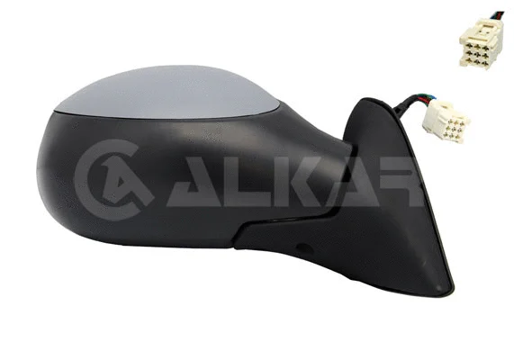 Exterior Mirror (6140364)