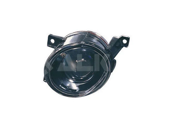 Front Fog Light (2901124)