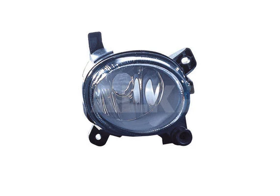 Front Fog Light (2902477)
