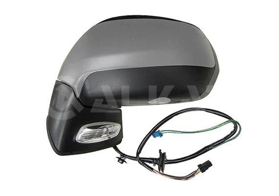 Exterior Mirror (6139858)