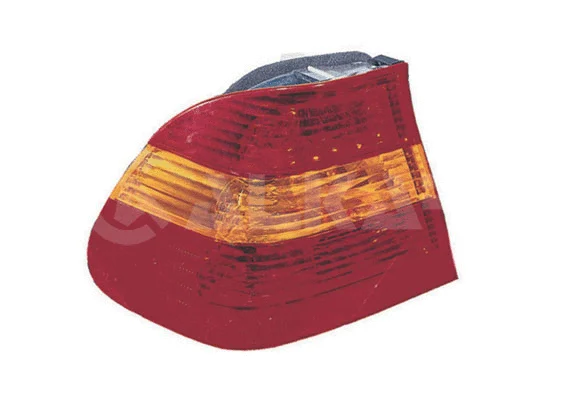 Tail Light Assembly (2205839)