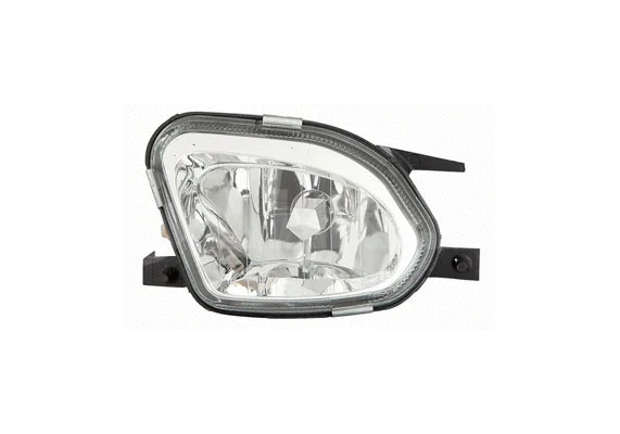 Front Fog Light (2911966)