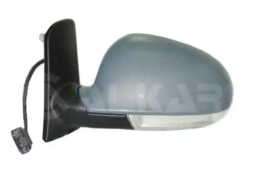 Exterior Mirror (6140801)