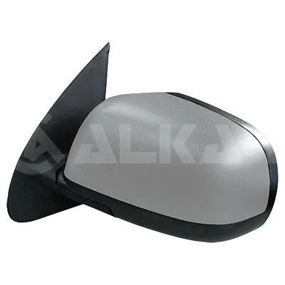 Exterior Mirror (6101553)