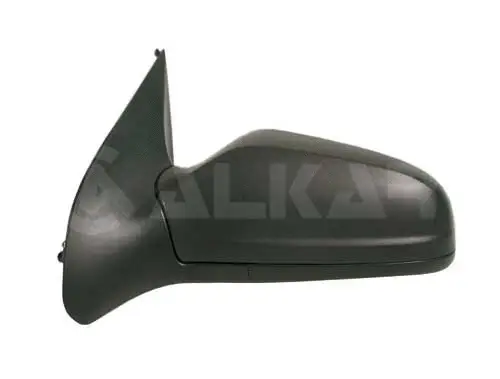 Exterior Mirror (6125438)
