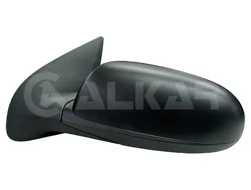 Exterior Mirror (6125618)