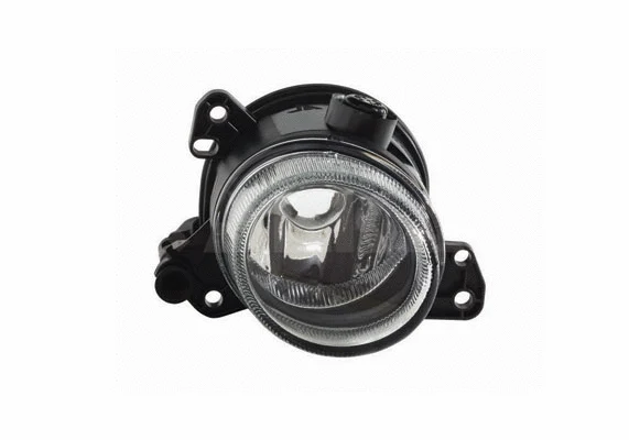 Front Fog Light (2902561)