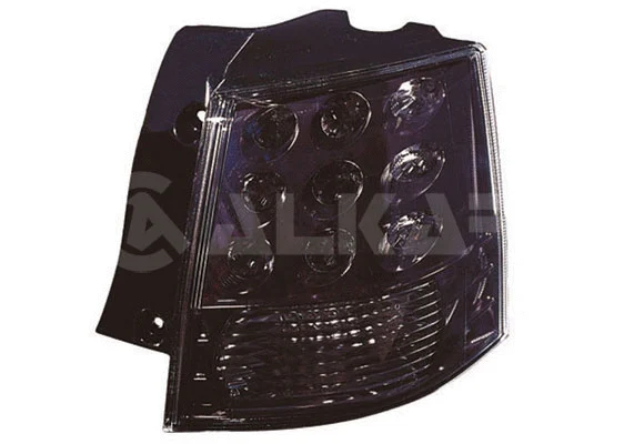 Tail Light Assembly (2002025)