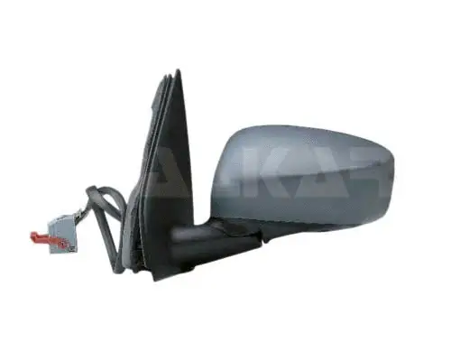 Exterior Mirror (6125931)
