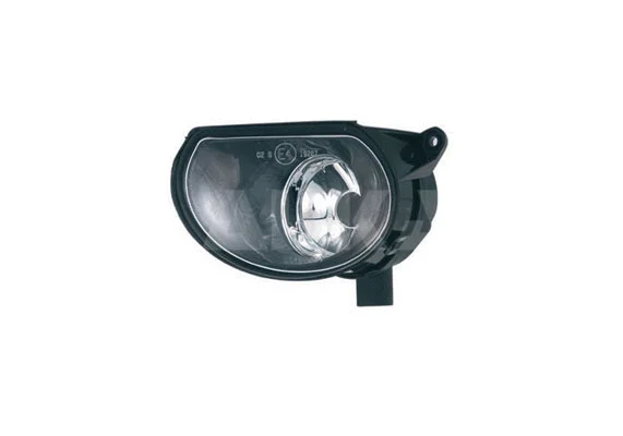 Front Fog Light (2901500)