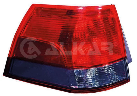 Tail Light Assembly (2231444)