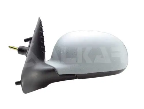 Exterior Mirror (6165301)