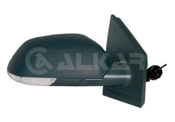 Exterior Mirror (6106111)