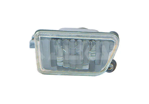 Front Fog Light (2902117)