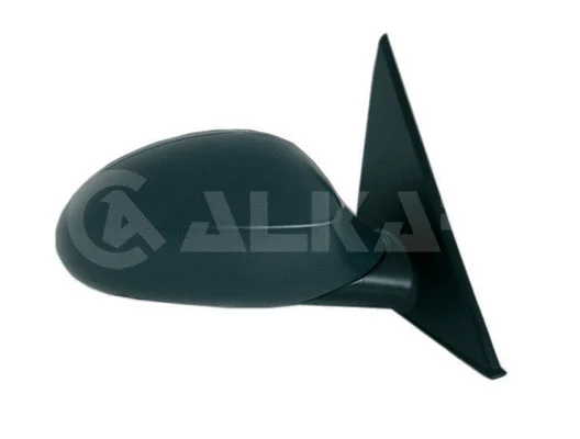 Exterior Mirror (6102843)