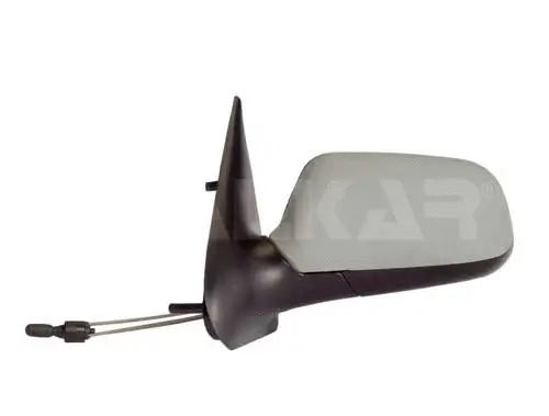 Exterior Mirror (6137363)