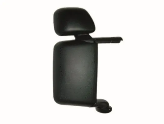 Exterior Mirror, driver cab (9466001)