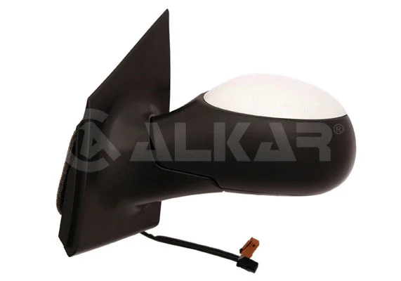 Exterior Mirror (6141853)