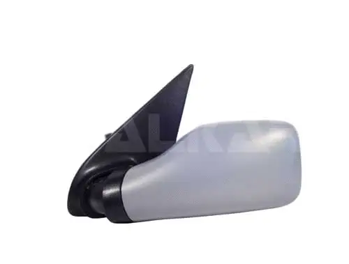 Exterior Mirror (6138286)