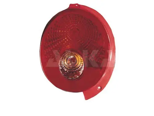 Tail Light Assembly (2205603)