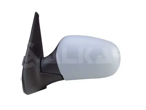 Exterior Mirror (6139164)