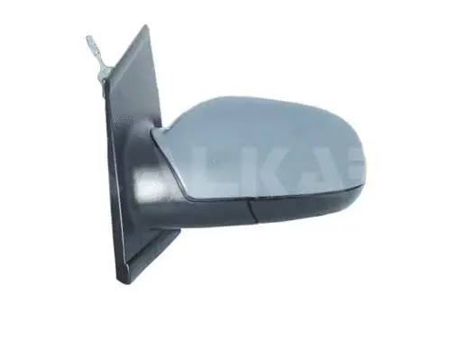 Exterior Mirror (6137101)