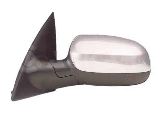 Exterior Mirror (6139420)