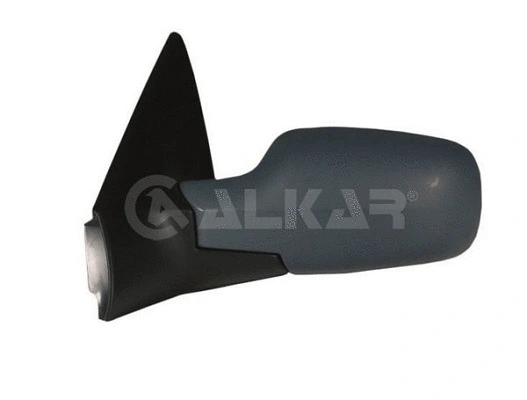Exterior Mirror (6146228)