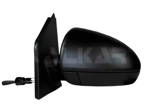 Exterior Mirror (6164009)