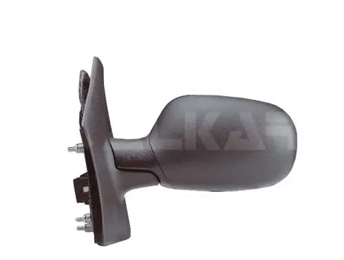 Exterior Mirror (6125220)