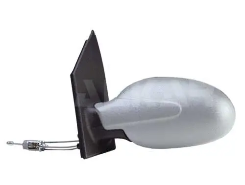 Exterior Mirror (6166010)