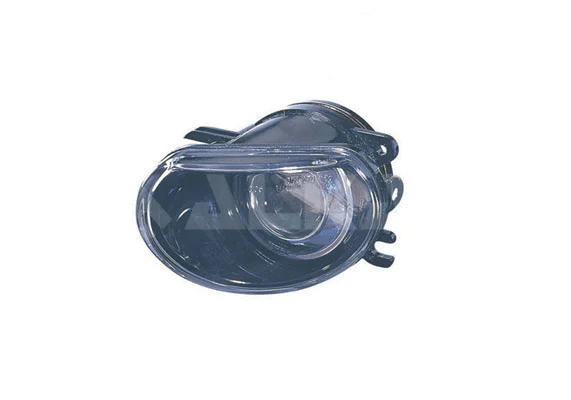 Front Fog Light (2905500)