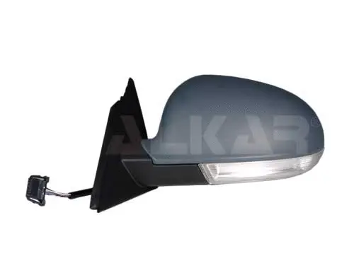 Exterior Mirror (6125117)
