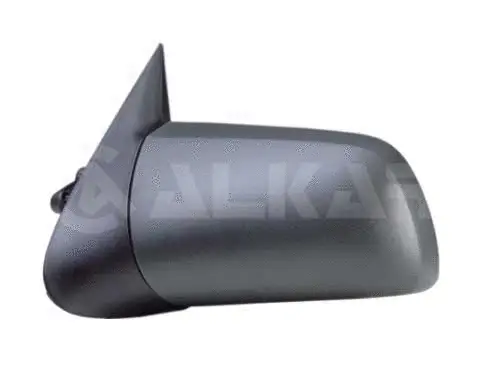 Exterior Mirror (6101431)