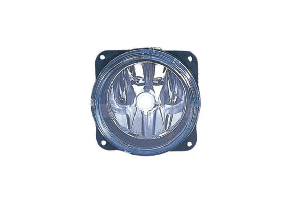 Front Fog Light (2903960)