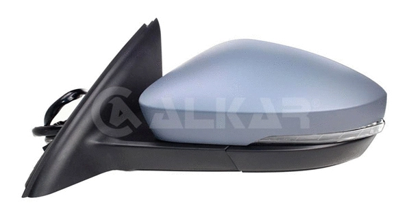 Exterior Mirror (6139561)