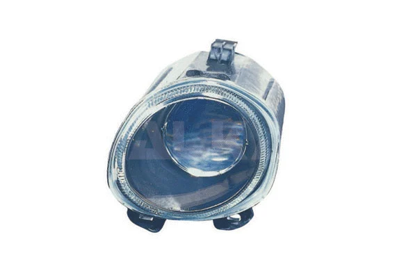 Front Fog Light (2901888)